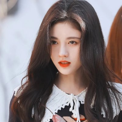 鹦鹉老妈 海报